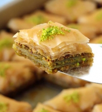 <br />
<b>Notice</b>:  Undefined variable: kat_id in <b>/home/neqros/public_html/menu/shop.php</b> on line <b>27</b><br />
